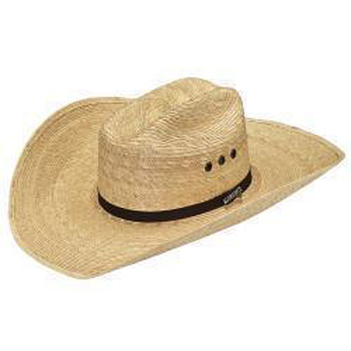 Pard's Western Shop 3D Alamo Palm Straw Western Hat