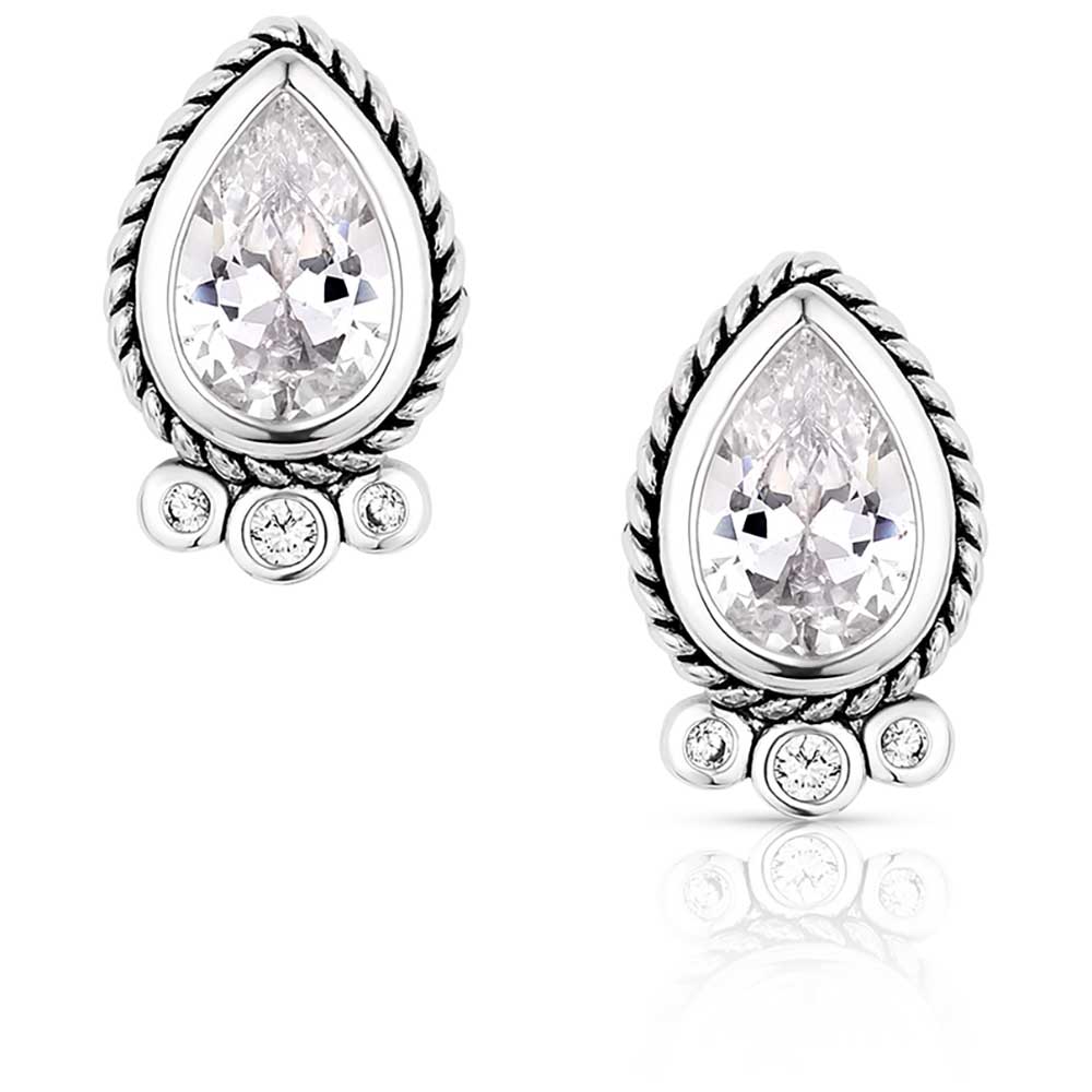 Pard's Western Shop Montana Silversmiths Angel Joy Earrings
