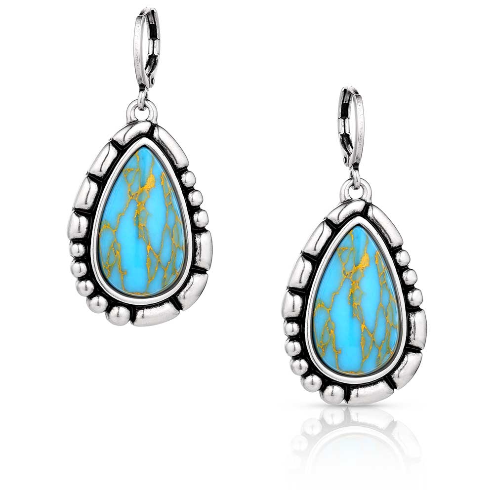 Pard's Western Shop Montana Silversmiths Prickly Pear Turquoise Earrings