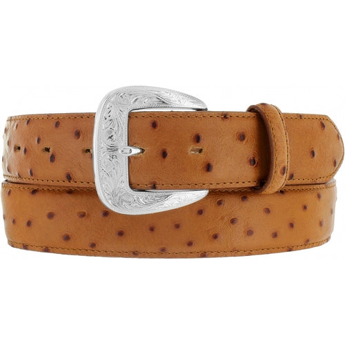 Pard's Western shop Tony Lama Brown Ostrich Print Leather Belt