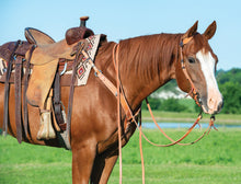 Harness Leather Rambler Sliding Ear Headstall with Antiqued Brown Hardware from Weaver Leather