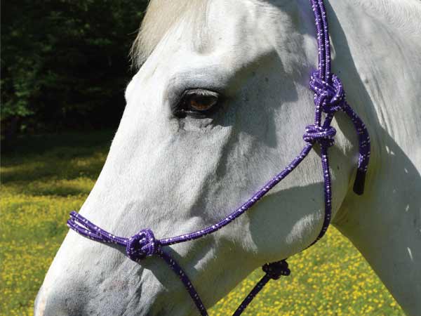 Equi-Sky Mountain Rope Halter with Lead