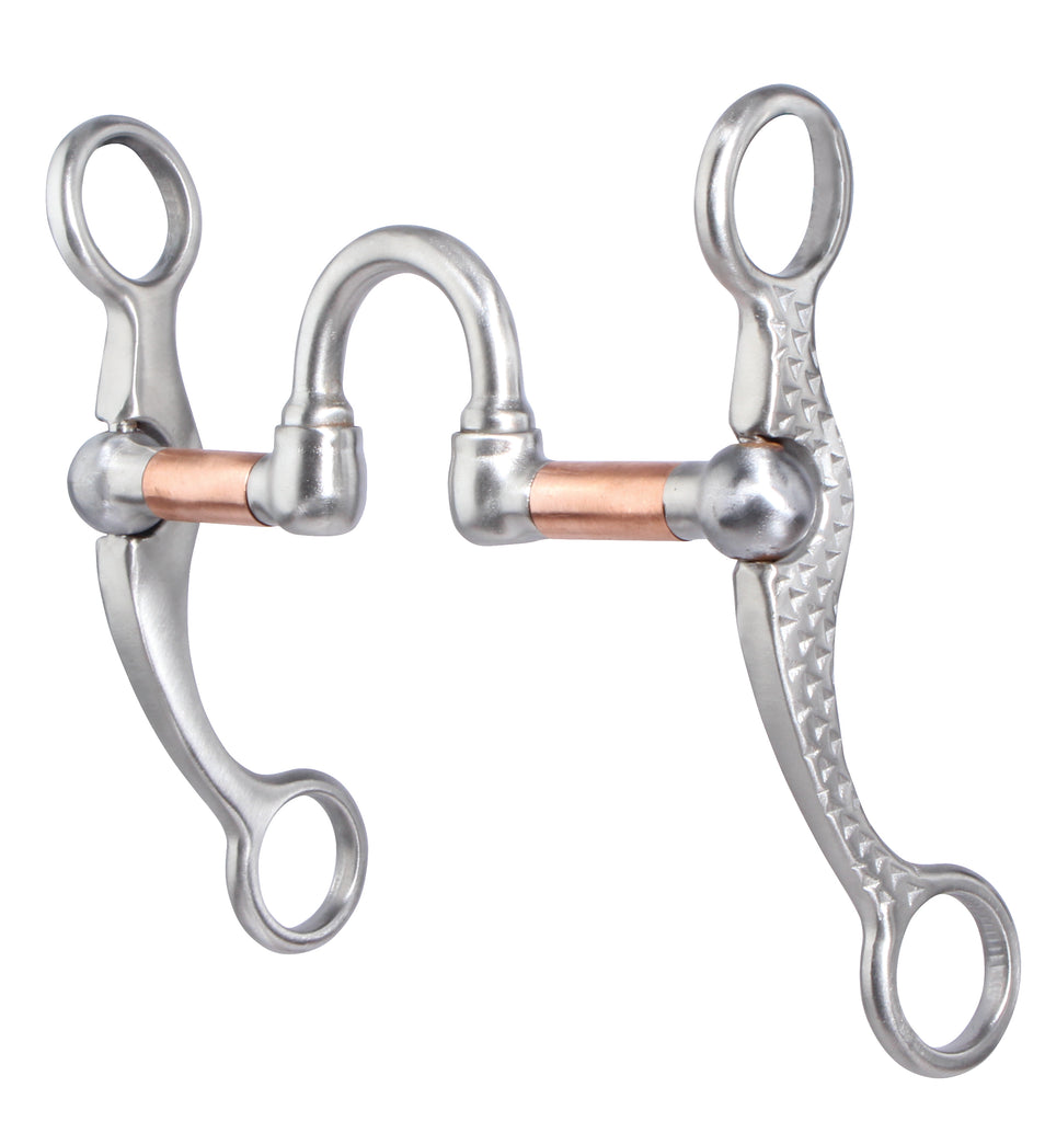 Professional's Choice Rasp Shank Correction Bit – Pard's Western Shop